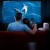 Xiaomi Smart Projector 2 - Image 8