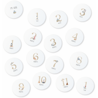 Echo Baby Milestone Cards - Nautical