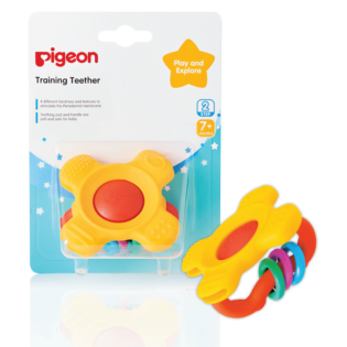 Pigeon - Training Teether Step 2