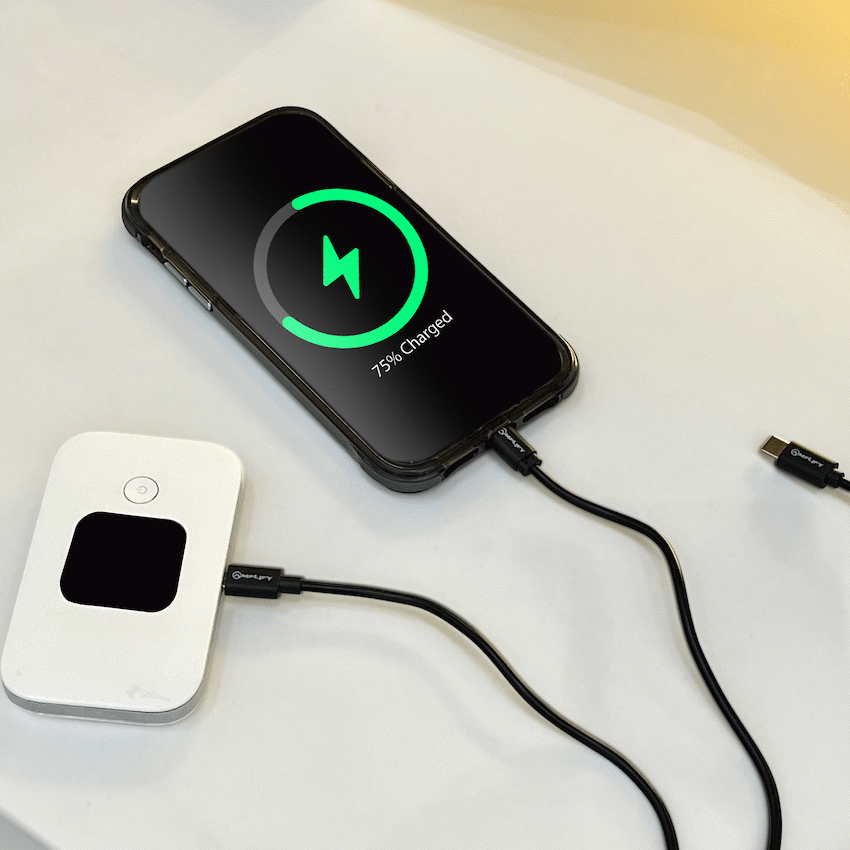 Amplify On the Fly 3-in-1 Charging Cable 1m - Image 4