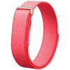 Google Fitbit Air Fitness Activity Tracker Band - Berry